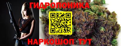 PSILOCYBIN Гай